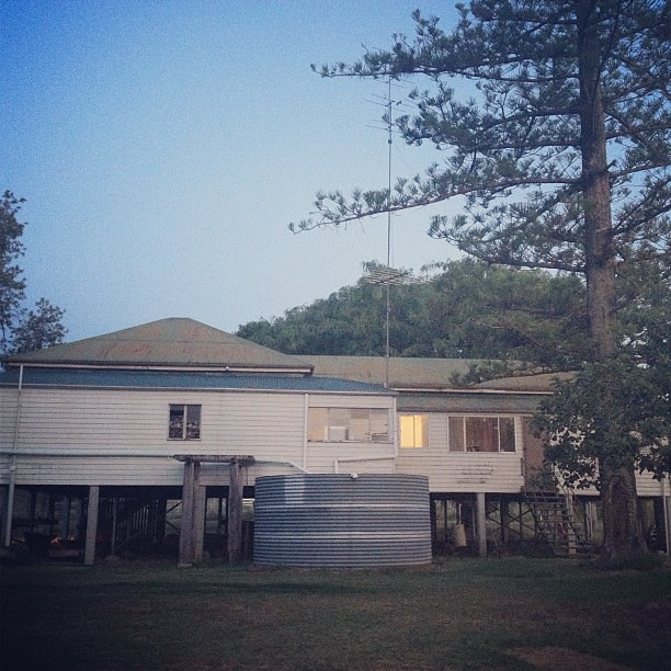 Our place from the back. The pine comes down tomorrow. It is half eaten out by borers and dangerous as hell.