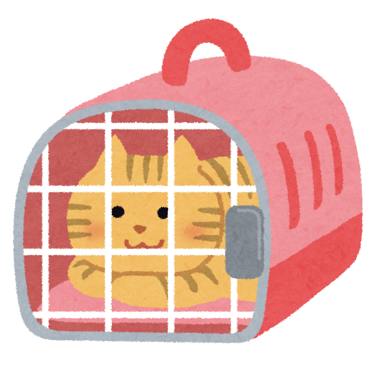野良猫を保護したい 準備から捕獲方法 捕獲後に必要なことまで