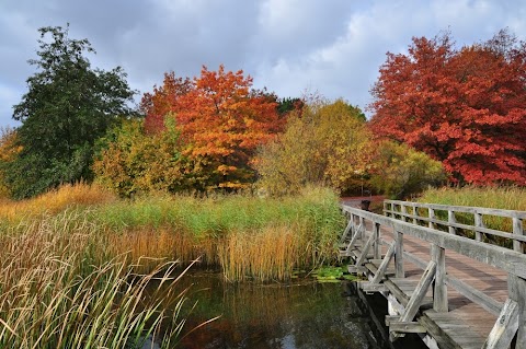 Britzer Garten Herbst