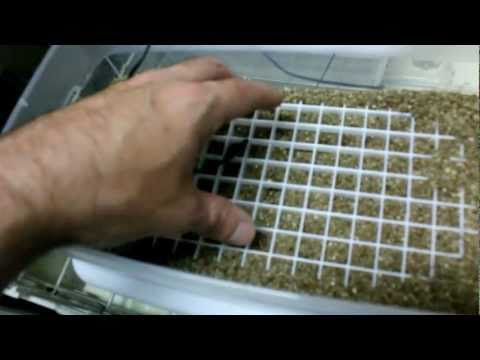 Build Your Own Egg Incubator