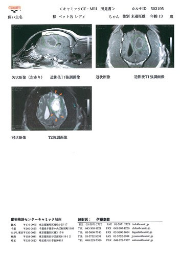 doc01028620130617102332_002