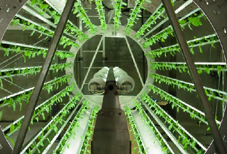 Omega Indoor Hydroponic Gardens 2 Omega Hydroponic Garden Claims More ...