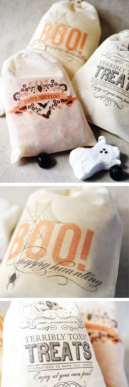 Loi_FPG-OscarEmmaDesign-01