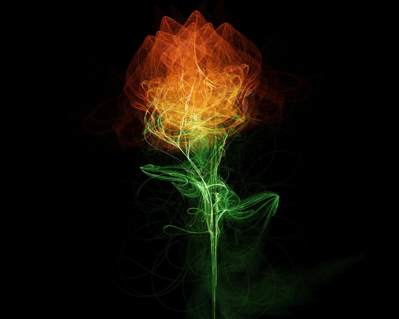http://24.media.tumblr.com/tumblr_maqy6fCHAh1rxk8v3o1_1280.jpg