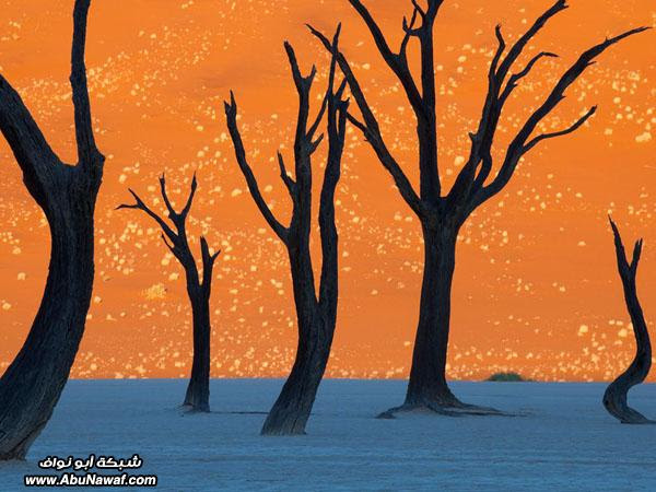 صور : شهر مايو 2011 بعدسة ناشيونال جيوغرافيك