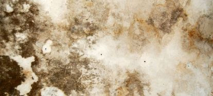 Water stain