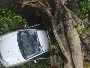 Carro foi esmagado por uma árvore derrubada na passagem do tufão Rammasun, localmente conhecido como Glenda, em Makiti, na região metropolitana de Manila, nas Filipinas (Foto: Mark DeMayo/Reuters)