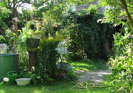 Gekündigt - wilder Garten auf Abruf › Das wilde Gartenblog