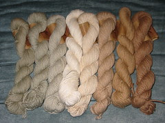 Pakucho Organic Cotton