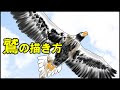 [新しいコレクション] かっこいい 鷹 イラスト 簡単 222702