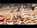 Video TheLatest.TV- Brighton Lights 22: Lazy hazy days of summer in bed - Deck Chair Challenge!