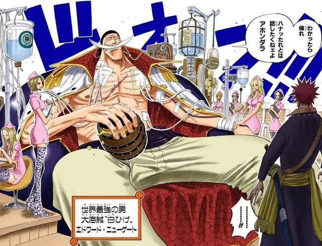 疑問 白ひげの病気はマルコの不死鳥の能力でも治せなかったのか 海賊王に俺はなる ルフィの冒険 One Piece