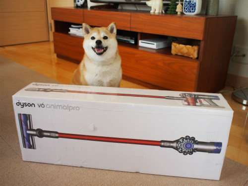 吸引力の変わらないただ一つの掃除機 柴犬マコと
