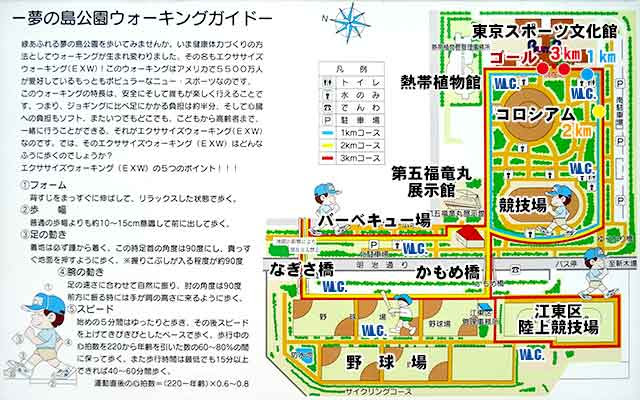 夢の島公園エクササイズウォーキングコース