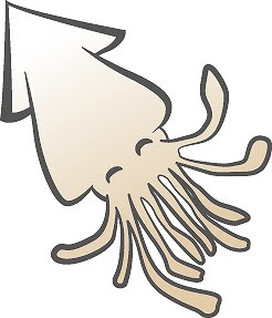 アオリイカやコウイカの締め方に違いはある こんな締め方も エギング入門 アオリイカの釣り方と仕掛け