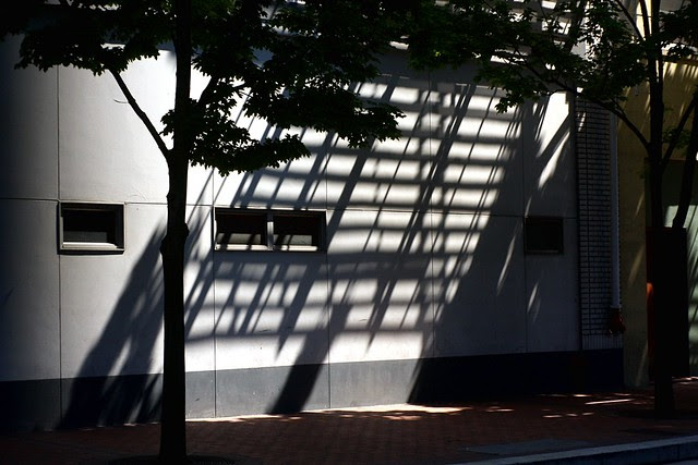 shadows, old town