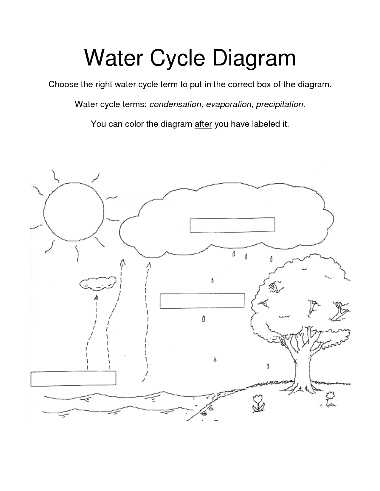 Water Cycle For Kids Coloring Page - Coloring Home