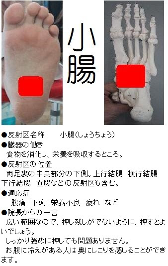 便秘の改善に役立つ反射区 足つぼ