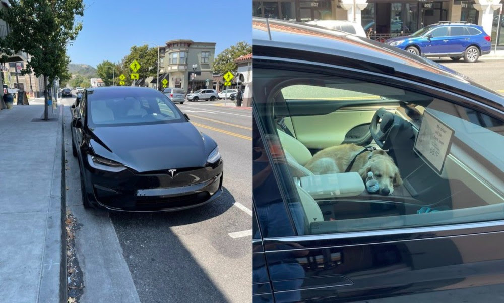 特斯拉model X Plaid将会在近期交付 外汇 北京上京建筑装饰工程有限公司
