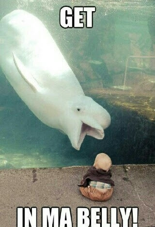 Ma Belly Meme By Dunkinduck Memedroid