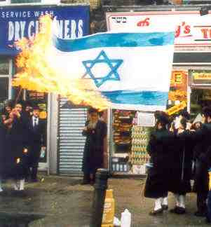 bendera israel dibakar mahasiswa seminari yahudi yg disidang pada 12-7-2010-jpeg.image