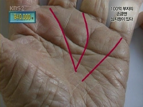 정주영 회장 막쥔손금, 이건희 회장 삼지창 손금 "재벌 손금 ...