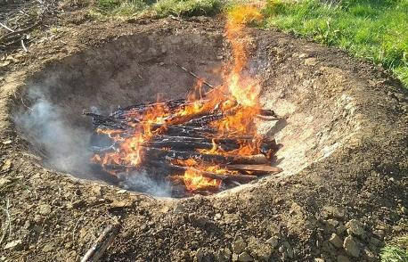 Image result for pit biochar