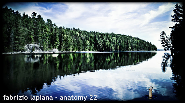 fabrizio lapiana - anatomy 22 art