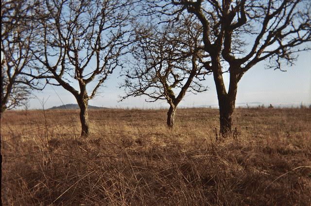 35mm BellHowell Roll