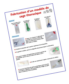 La Respiration Sequence Complete Chez Monsieur Paul