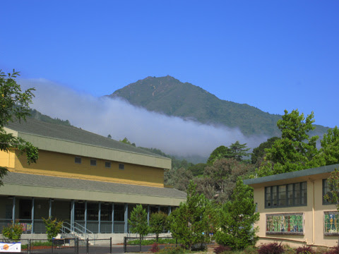 Larkspur School District,