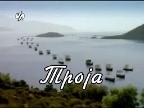 Слика