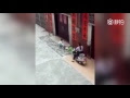 Una abuela atropella a su nieta de 6 años para "asustarla" (Video)