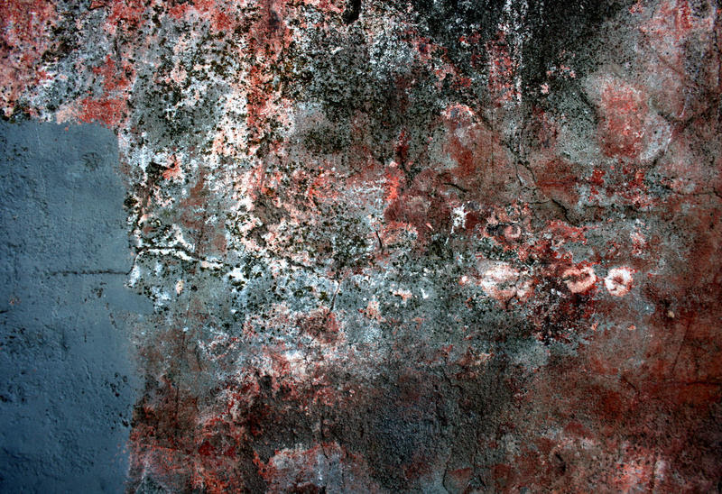 Designo Mercedes Matte Black Cars Website, Car News & Car Reviews on