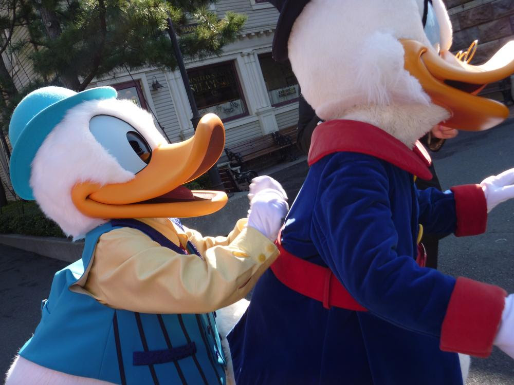 Tdsへ進め ドナッ子