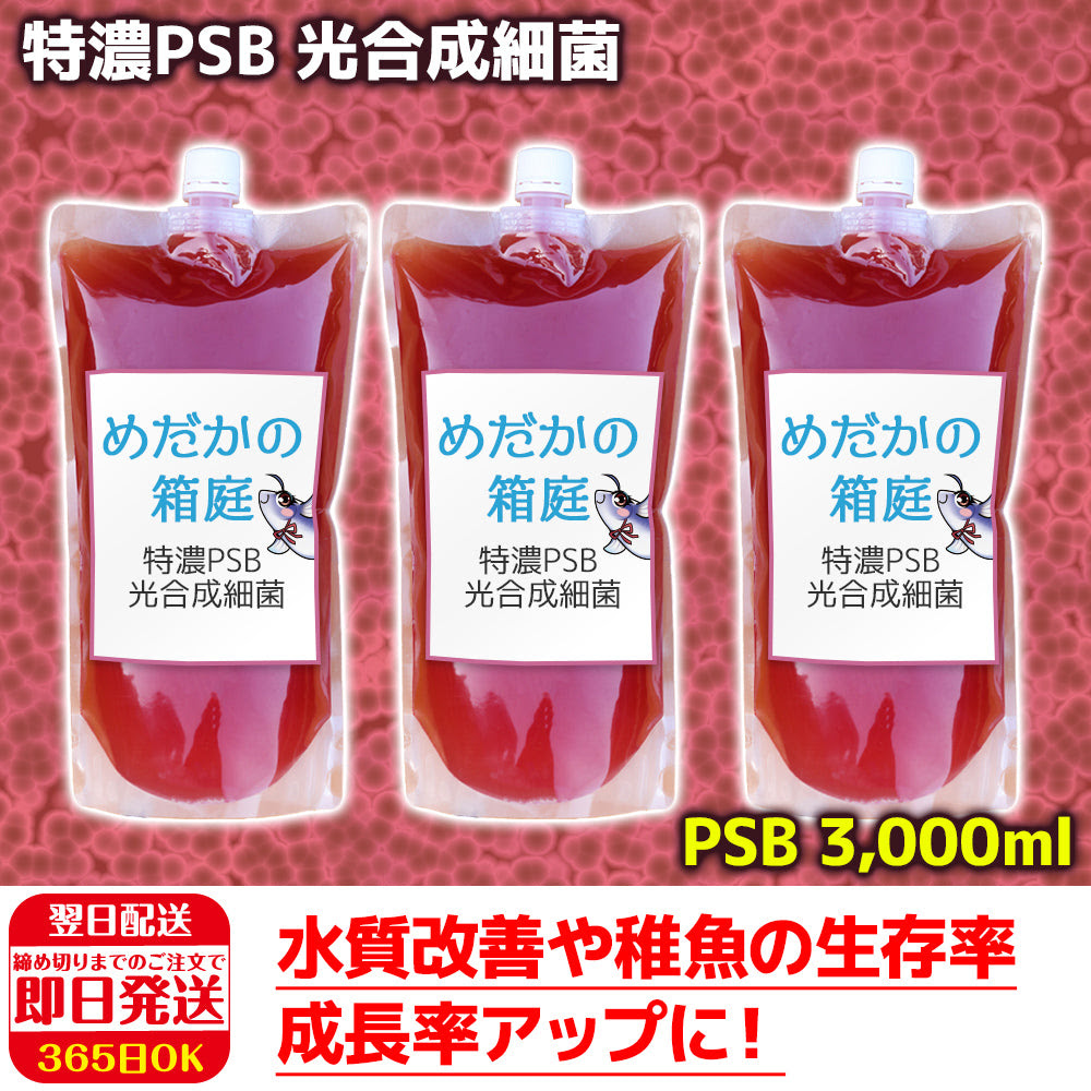 送料無料 特濃psb 光合成細菌 3000ml メダカの餌 稚魚のエサ 送料無料 活餌 金魚 ゾウリムシ ミジンコ Psb ワムシ インフ めだかの箱庭