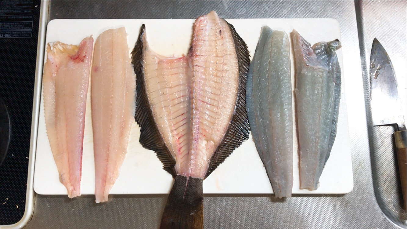 ヒラメの捌き方 ５枚おろしはこうやる 六畳一間の狼ブログ