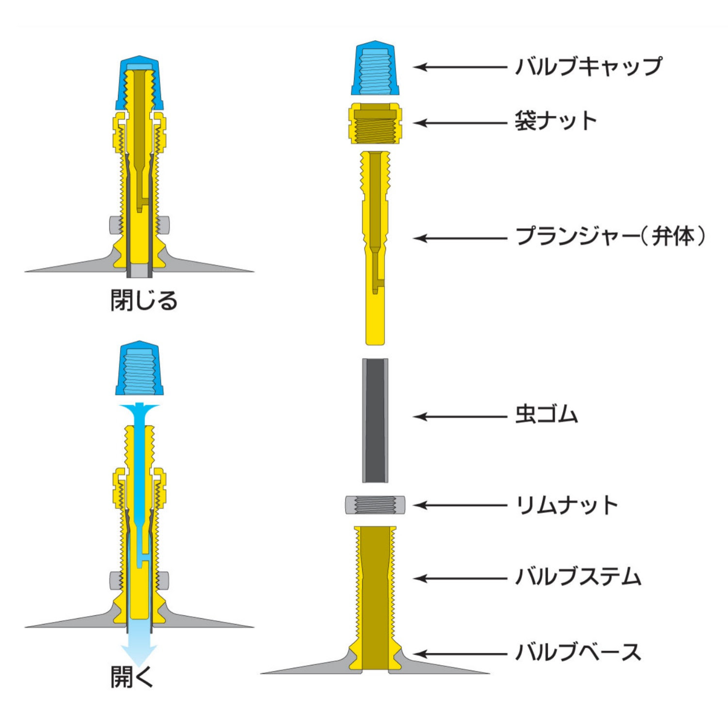 自転車のバルブの種類 バイシクル A To Z