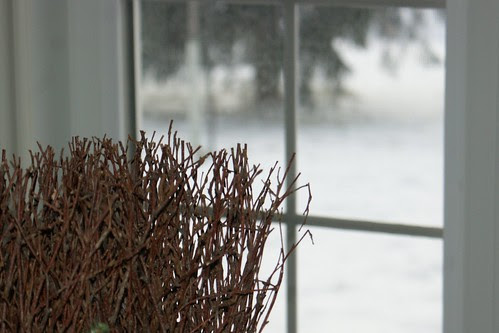 SONY DSC