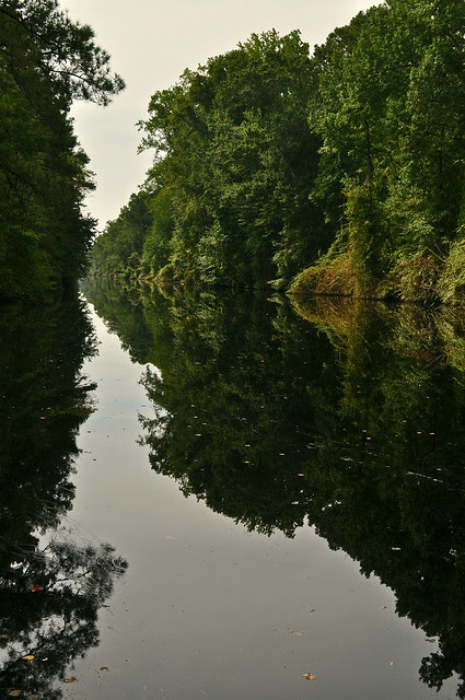 The Dismal Swamp Canal