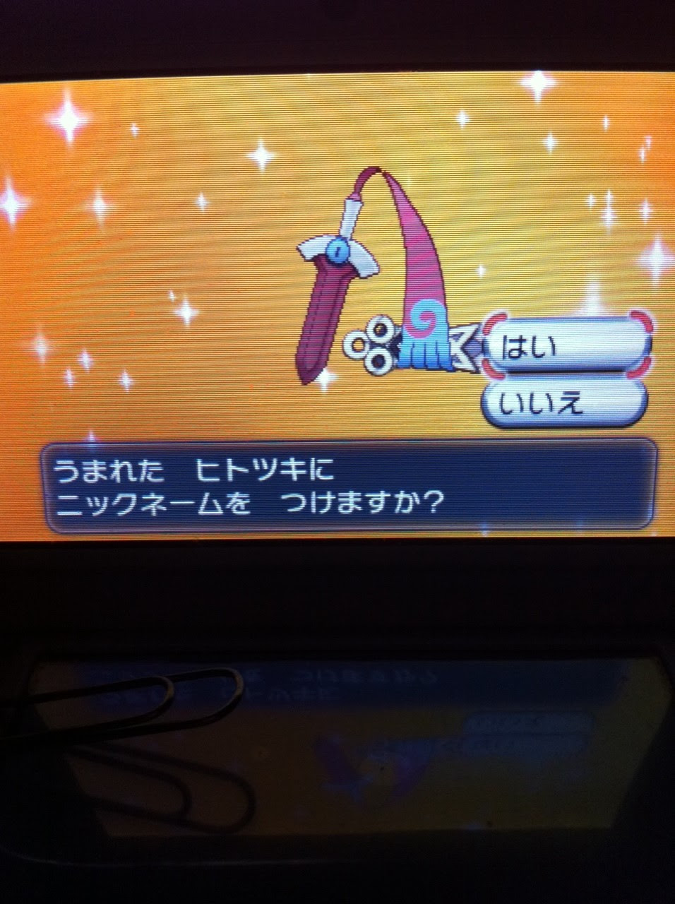 色違いに釘付け ギルガルド Xy おまけ