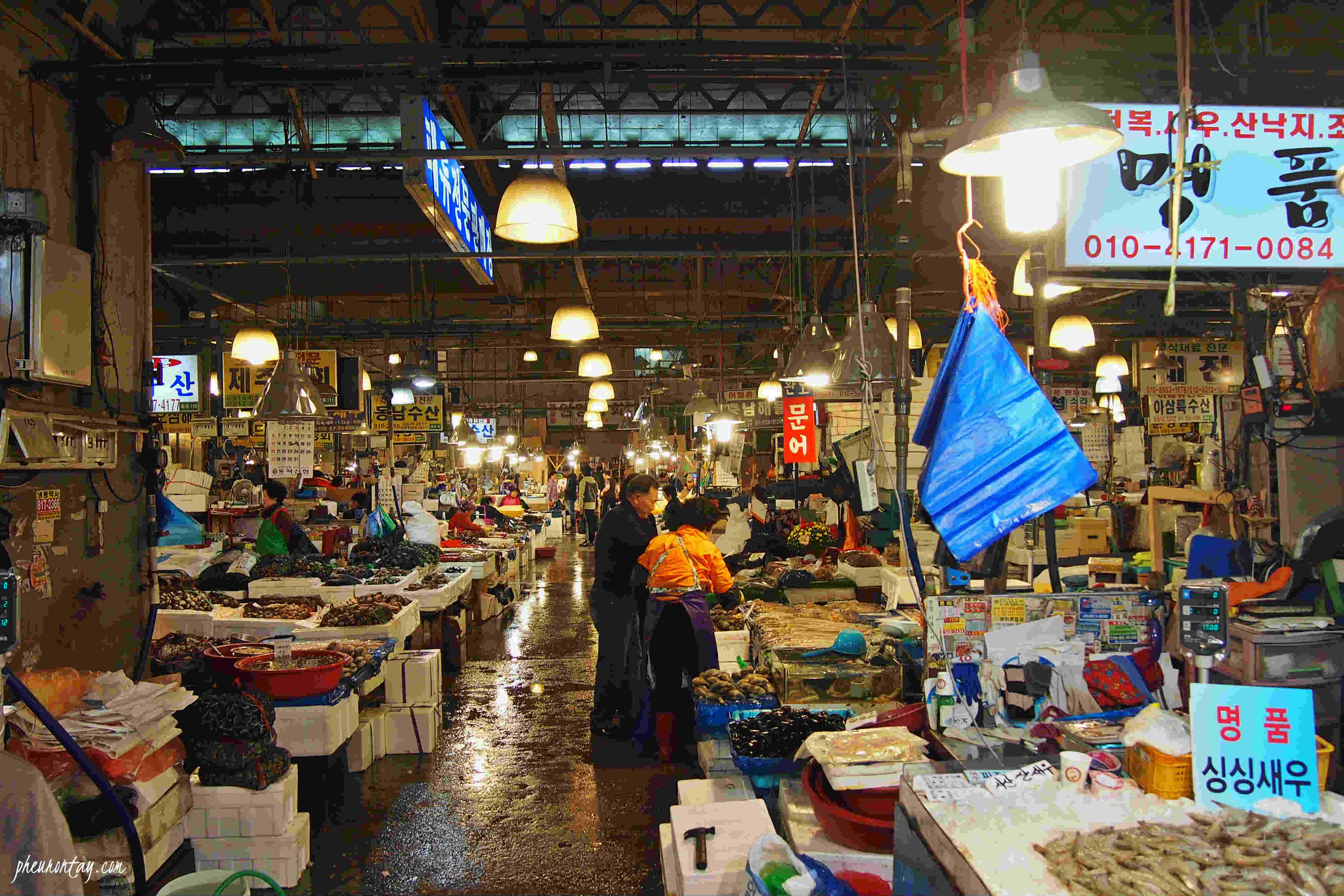 Dining at Noryangjin Fisheries Wholesale Market The Calm Dining at Noryangjin Fisheries Wholesale Market The Calm
