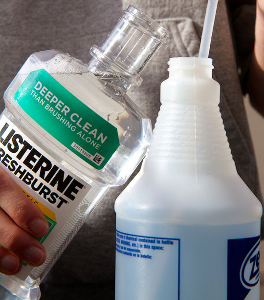 Homemade Dandruff Shampoo
