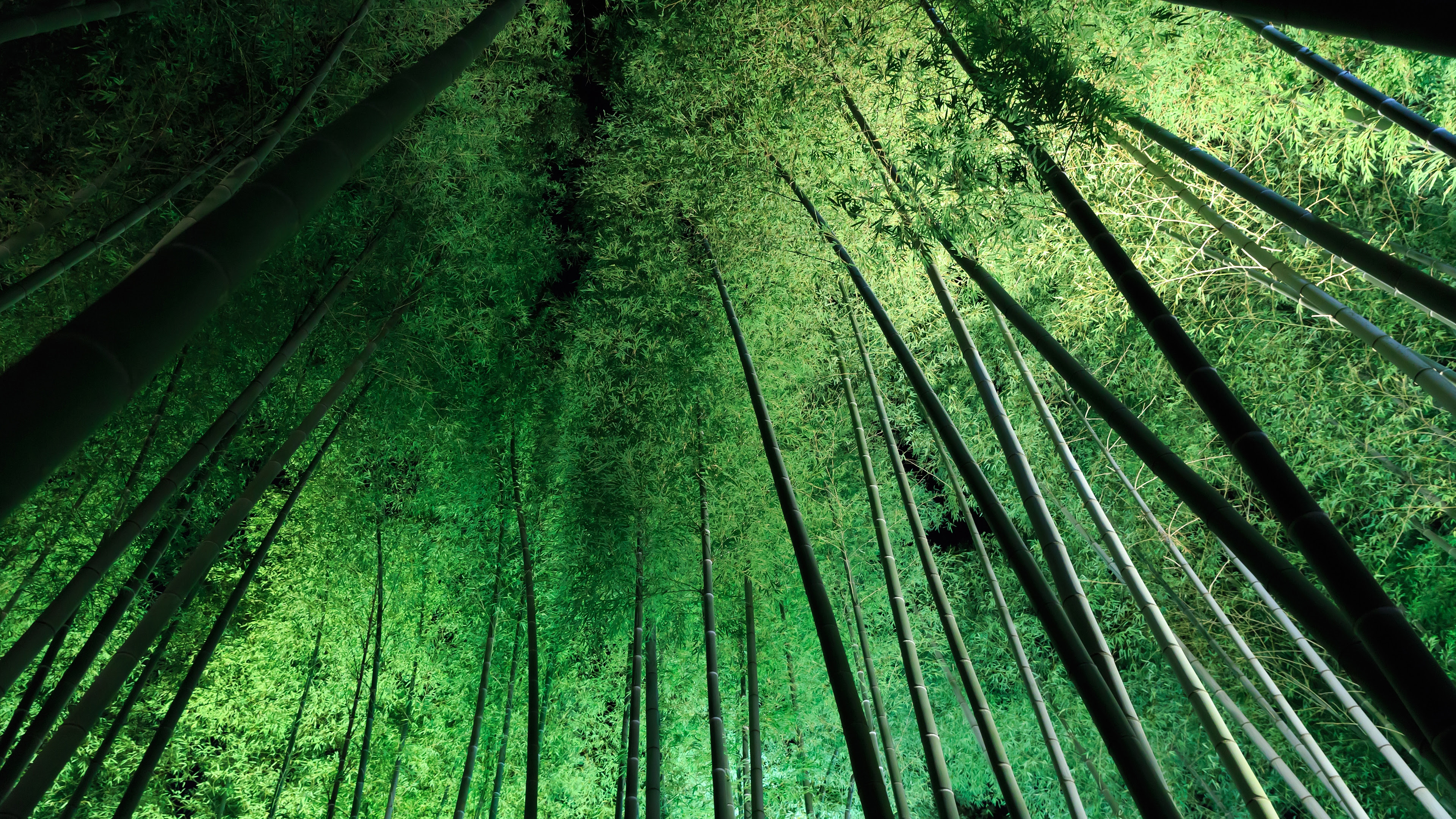 4k 12年 秋の京都壁紙その3 計9枚 壁紙 日々駄文