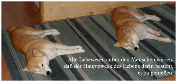 oscar wilde zitate tragödie