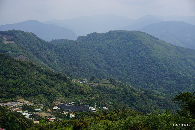 DSC00607