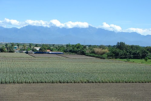 the view from my writing classroom