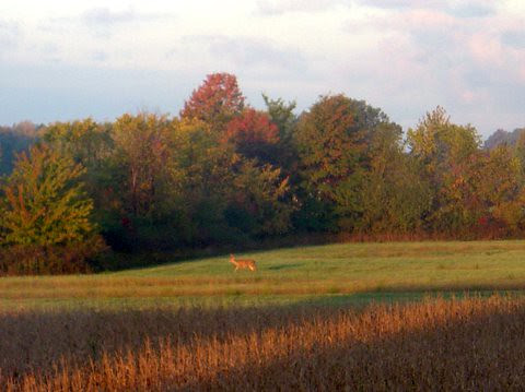 20051023