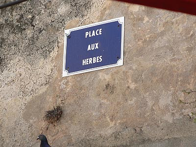 place aux herbes.jpg