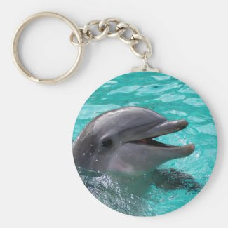 Dolphin head in aquamarine water keychains